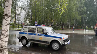 Сыктывкарцы активно сообщают о пьяных водителях