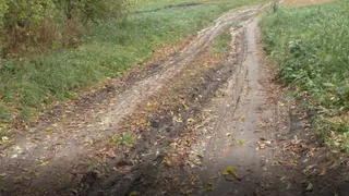 Чиновники Брянского района опять забыли о людях