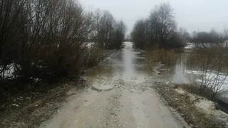Из-за подъёма воды в реке Пара в Сапожковском районе 3 апреля подтопило два моста