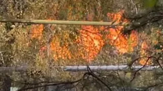 В Рязани горит участок около многоэтажного дома