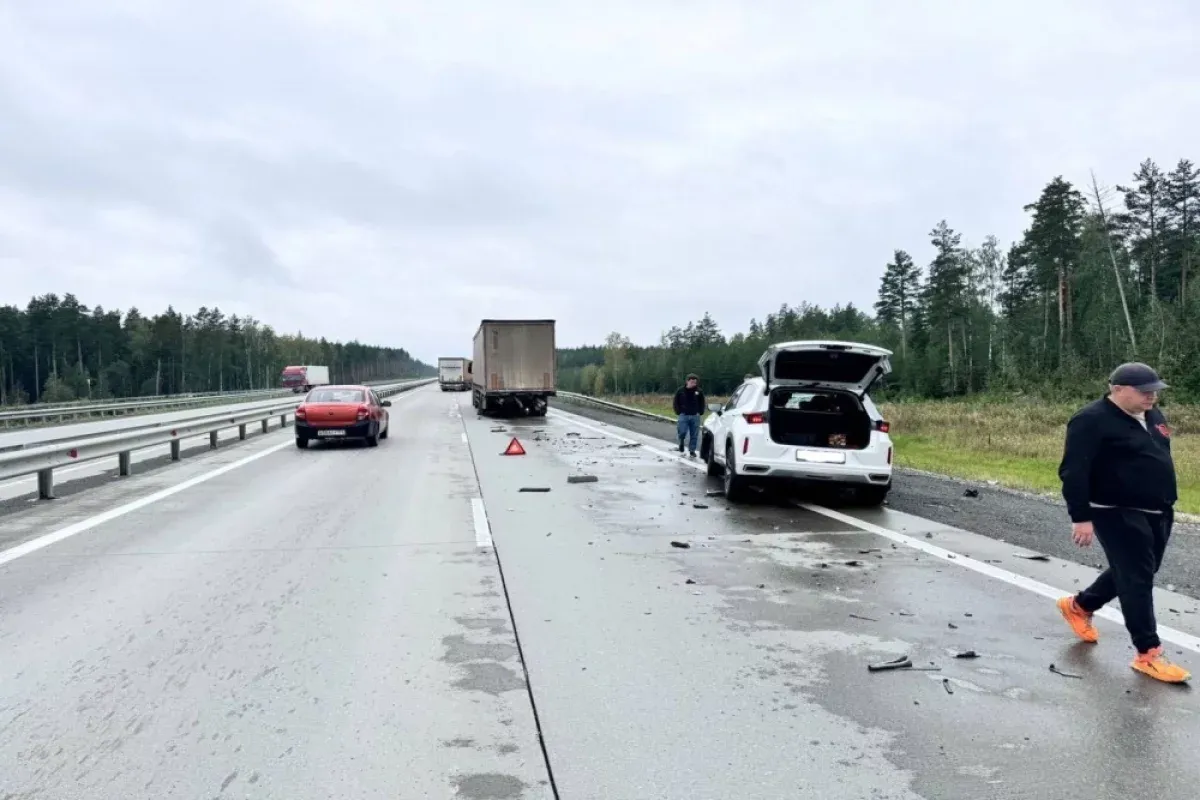 В ДТП с грузовиком на трассе М-5 под Миассом травмы получили двое детей