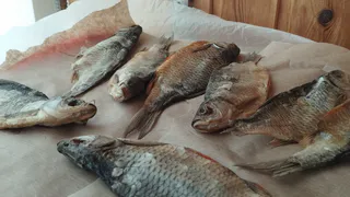 Открыта самая полезная и вкусная рыба на весну - ешьте 2 раза в неделю: богата фосфором и селеном   