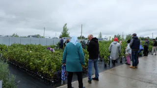 Льготы льготами, но эти 4 налога в 2024 году пенсионеры должны заплатить