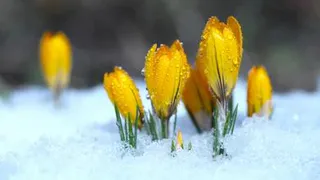 Названы три знака зодиака, которым очень повезет в марте