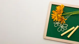 Поздравление Губернатора А.А. Авдеева с Всемирным днём учителя