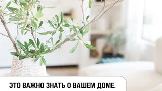 Гигиена: ухаживаем за постельным бельем, обувью и домом