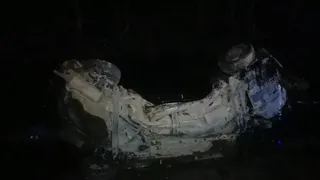 Появились фото с места смертельного ДТП с косулей и в Клепиковском районе