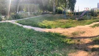 “Мы просили убрать помойку”: аллея Славы бесславно утопает в мусоре