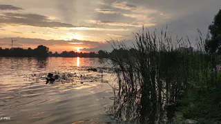 Июльская жара возвращается в августе: в Гидрометцентре предсказали разворот в погоде