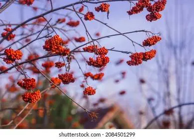 Приметы и запреты на 23 сентября: выходя из дома, обязательно сделайте это...