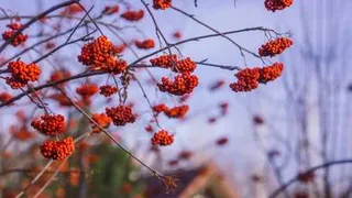 Приметы и запреты на 23 сентября: выходя из дома, обязательно сделайте это...