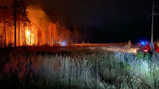 В Пензенской области ночью потушили еще один лесной пожар площадью 0,5 га