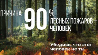 На развитие базы по борьбе с пожарами в области было направлено 100 миллионов рублей