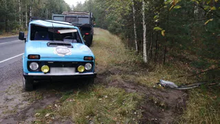 Есть пострадавший: под Клепиками Нива улетела в кювет