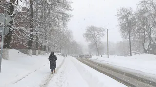 В середине лета вернется холодная зима и выпадет снег: погода с 15 июля преподнесет суровый "подарок"