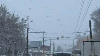 «Машины стоят на обочинах»: рязанцы жалуются на разбитую трассу Москва — Шацк