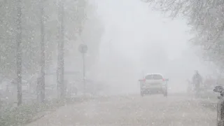 Экстренное предупреждение: Татарстан накроет сильная метель 20 февраля