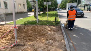 В 52 года устроился на работу и сбежал через 3 месяца: работодатели скрывают, что творится в офисах, но я всё увидел своими глазами