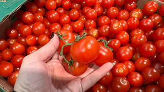 Европейцы давно его выбросили в мусор, а россияне постоянно едят: этот вкусный овощ очень быстро убьет ваши органы        