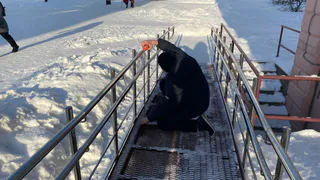 В столице Коми поликлинику адаптировали для маломобильных пациентов