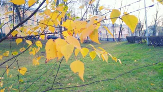 Погода в Рязани на выходные