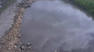 Фото-факт: в Рязанской области асфальт приходится объезжать по полю