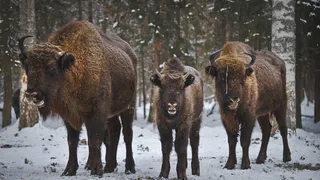 Во Владимирской области охраняют более 130 природных объектов