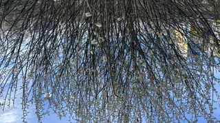 20 апреля в Пензе ожидается 19 градусов тепла