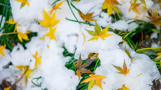 «Ноябрь даст всем прикурить». Синоптики составили новый прогноз на конец осени