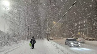 «Декабрь, январь и февраль будут такими»: синоптики огласили новый прогноз на зиму 2026