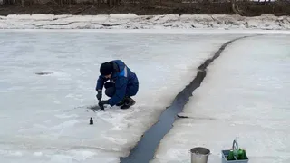 В Чувашии обнаружены следы нефти в реке Цивиль