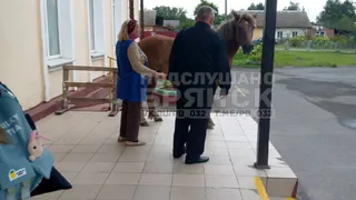 В Володарском районе лошадь пришла учиться в школу