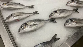 В Рязанской области нашли серьезное нарушение в продаже рыбной продукции  