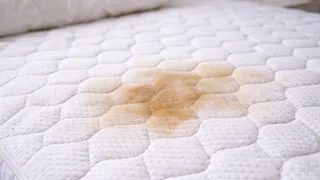 Пролила кофе на матрас и растерялась, а потом взяла это — и пятно исчезло без разводов