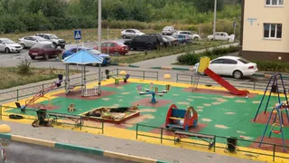 Дети боятся гулять без взрослых: в Семчине обитает бездомная стая собак