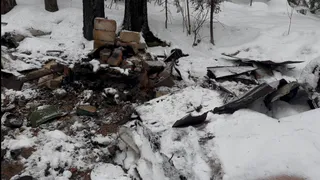 В Коми бизнесмен, арендовавший лес, подозревается в поджогах