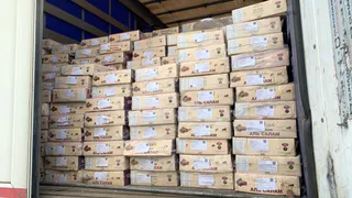 В Чувашию впервые завезли партию сушеных фиников