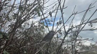 Погода в Чувашии 2 апреля: дождь, облака и немного солнца