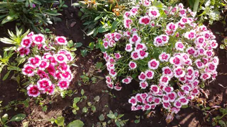 14 августа Чувашию ждет переменчивая погода: и дожди, и солнце