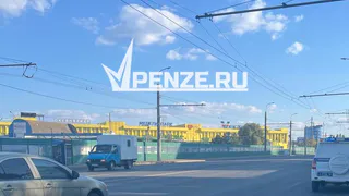 Вся правда о спасении выдры Тони из Пензенского океанариума