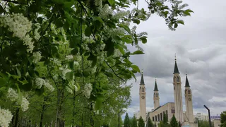 На плов и чай: в Соборной мечети Нижнекамска соберутся родители участников СВО