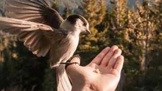 "Деньги и успех атакуют": Павел Глоба назвал знак Зодиака с прибылью после 19 ноября