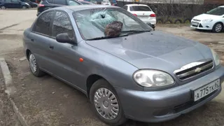 Как суровые рязанцы берегут газон: припаркованному автомобилю прилетел валун в лобовое стекло