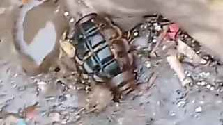 В Рязани на Михайловском шоссе дети обнаружили гранату на мусорке