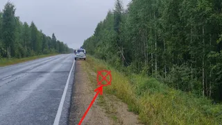 В Коми ярый нарушитель ПДД вылетел в кювет на Nissan X-Trail