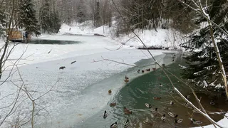 Аномальная жара нагрянет уже в начале марта: лето придет на два месяца раньше