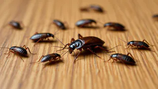 Китайцы избавляются от тараканов только так: смешиваем 2 средства – и усачи сбегут, сломя голову