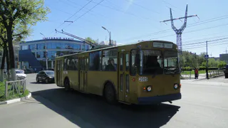 Авторская колонка: "Хочется, чтобы транспортные предприятия относились к пассажирам с уважением"