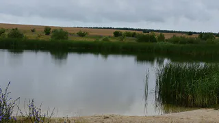 В Путятинском районе пьяная 28-летняя мать троих детей утонула в ручье