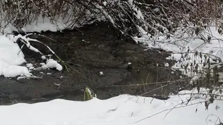 Суд обязал администрацию Судогодского района устранить сброс сточных вод в селе Ликино